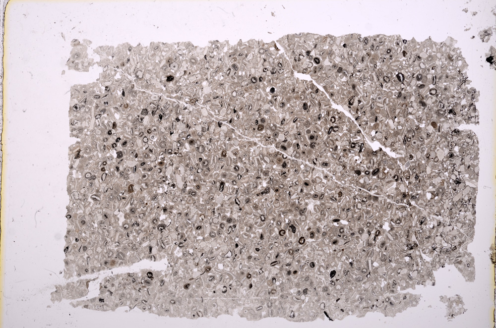 Plane Polarized, E18130