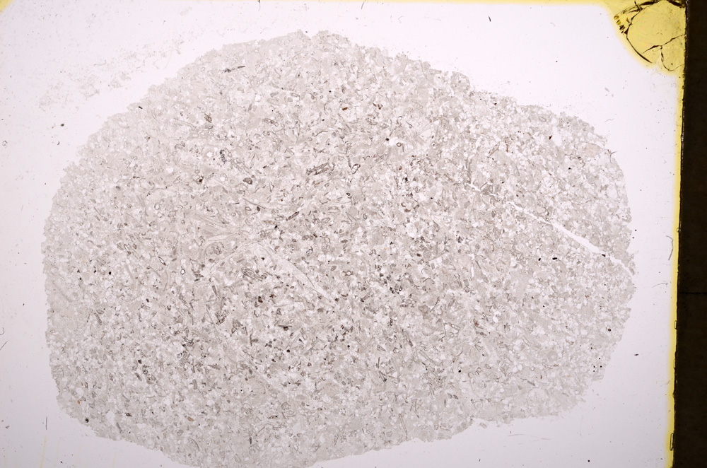 Plane Polarized, E18156