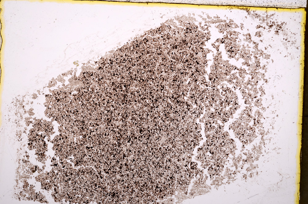 Plane Polarized, E18164