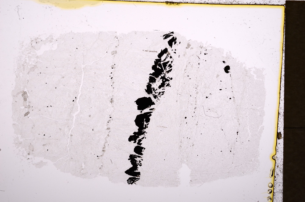 Plane Polarized, E18173