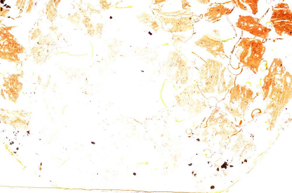 Plane Polarized, E18178