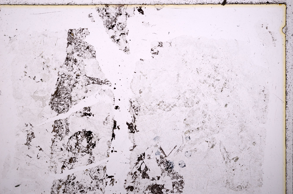 Plane Polarized, E18217