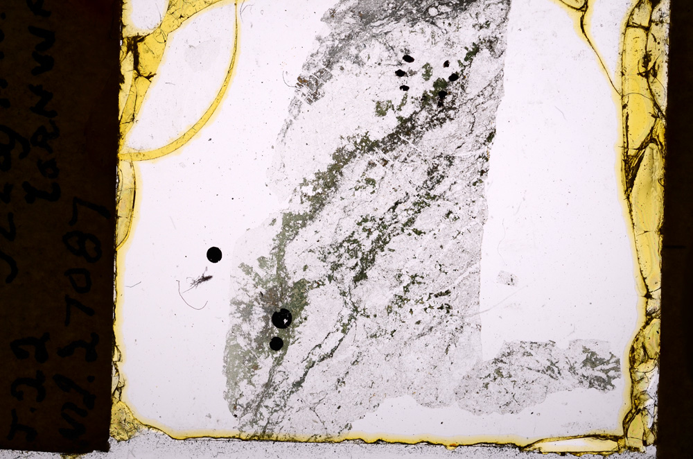 Plane Polarized, E18218