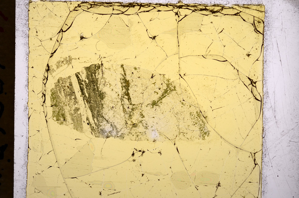 Plane Polarized, E18218/B