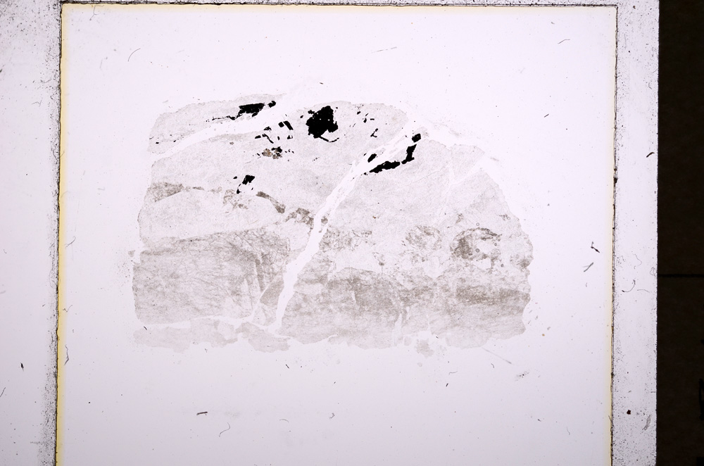 Plane Polarized, E18223