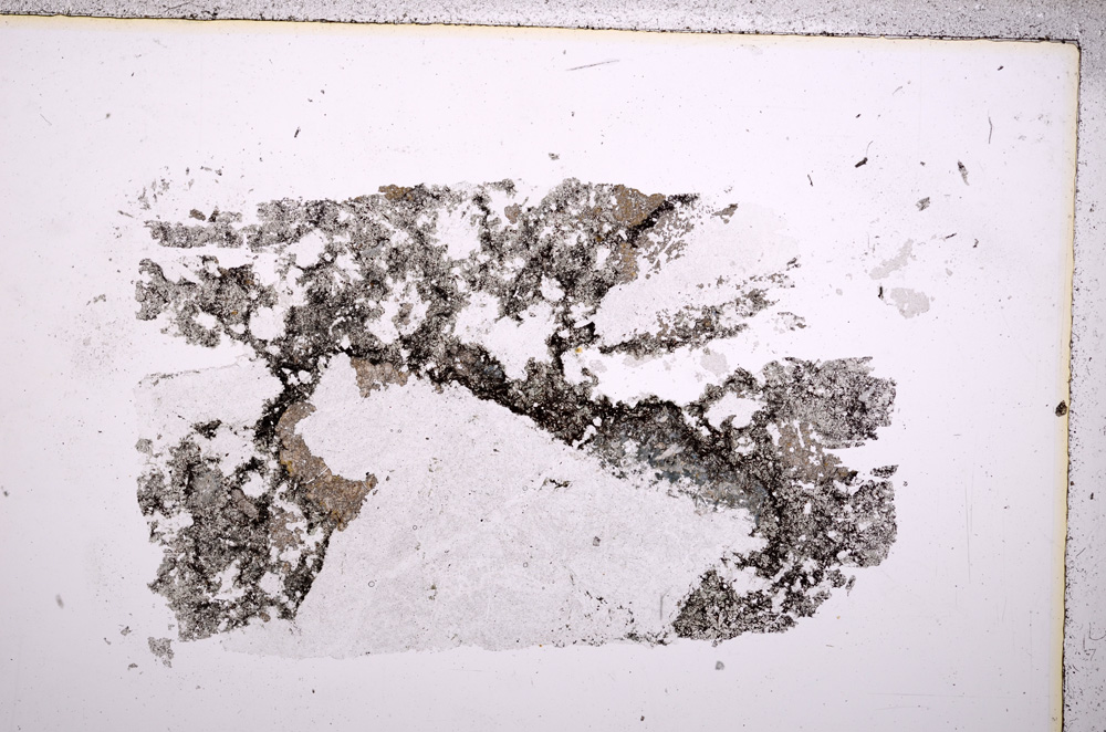 Plane Polarized, E18224
