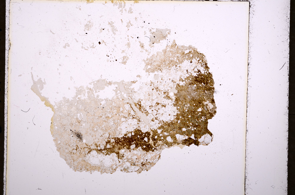 Plane Polarized, E18229