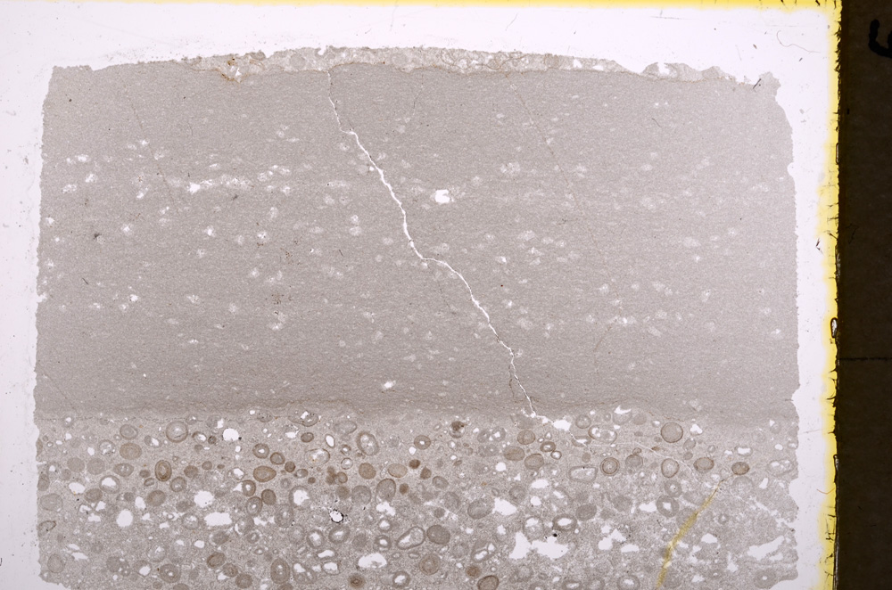Plane Polarized, E18231