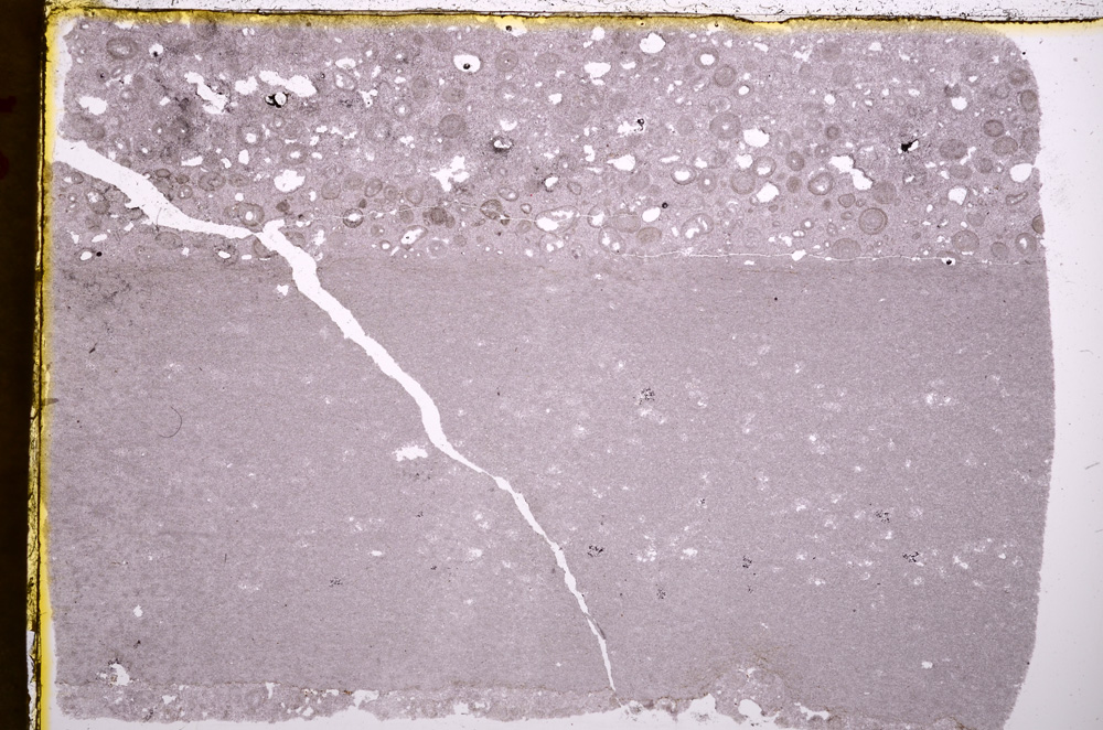 Plane Polarized, E18231/A