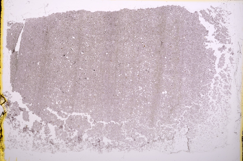 Plane Polarized, E18232/A