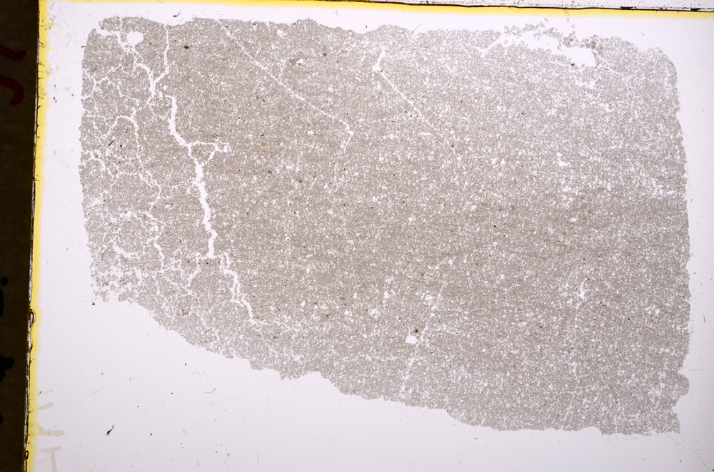 Plane Polarized, E18235
