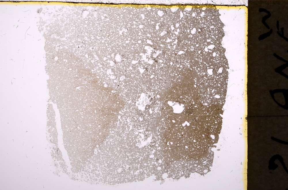 Plane Polarized, E18237