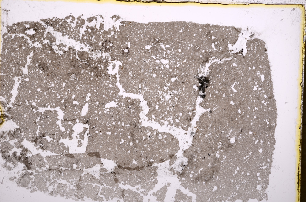 Plane Polarized, E18238/A
