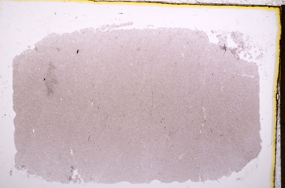 Plane Polarized, E18243/A
