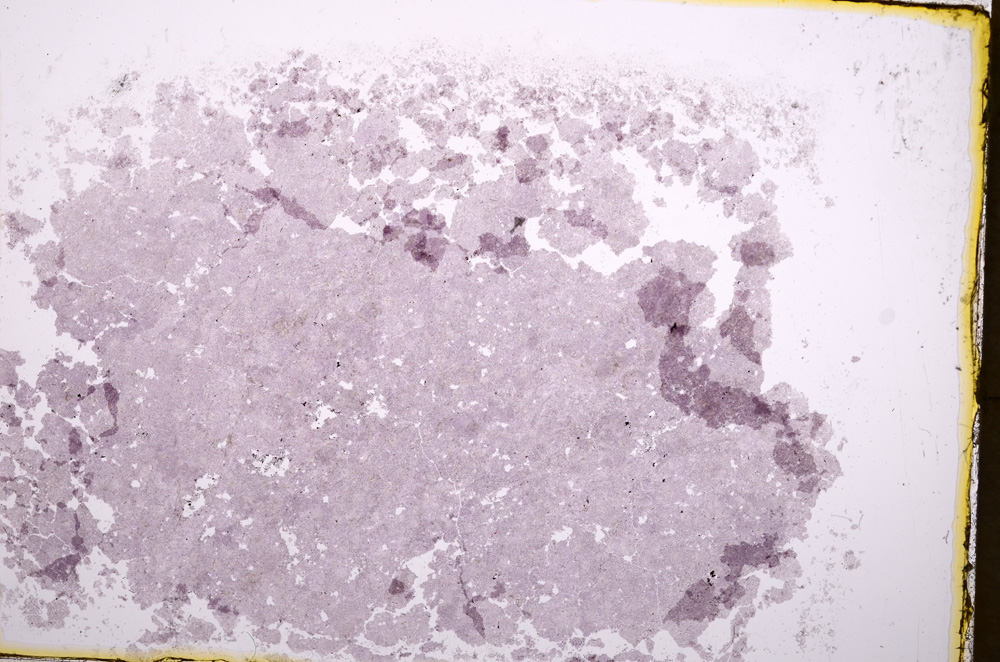 Plane Polarized, E18245/A