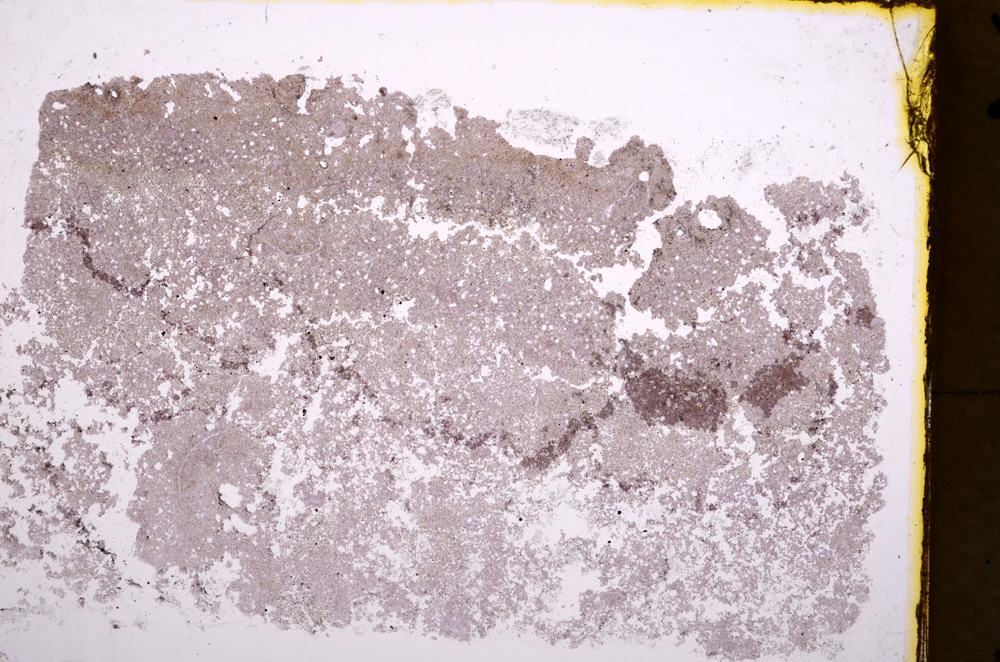 Plane Polarized, E18247/A