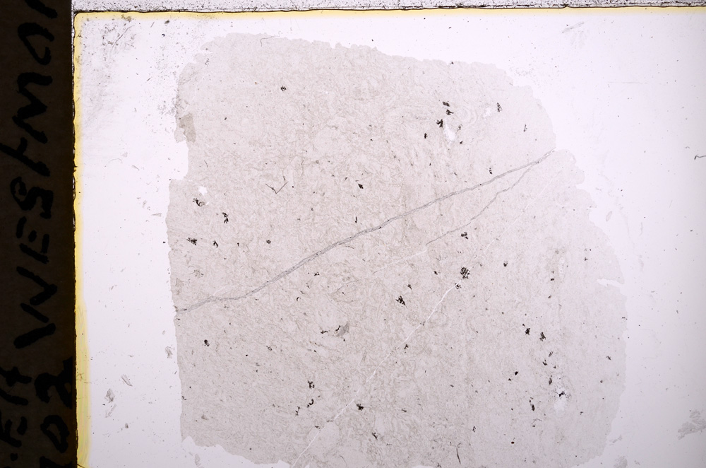 Plane Polarized, E18251