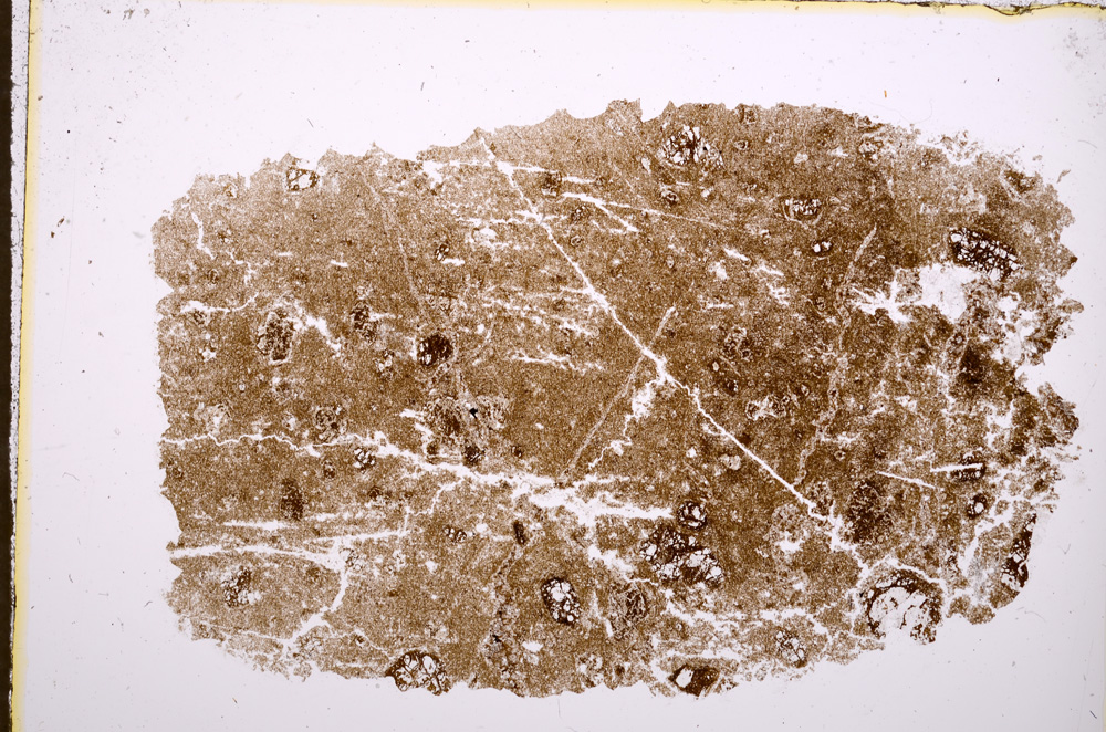 Plane Polarized, E18264