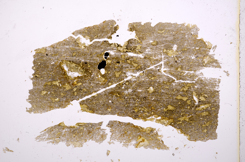 Plane Polarized, E18272