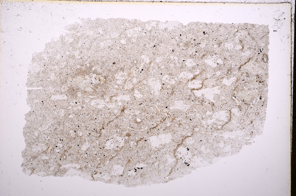 Plane Polarized, E18281