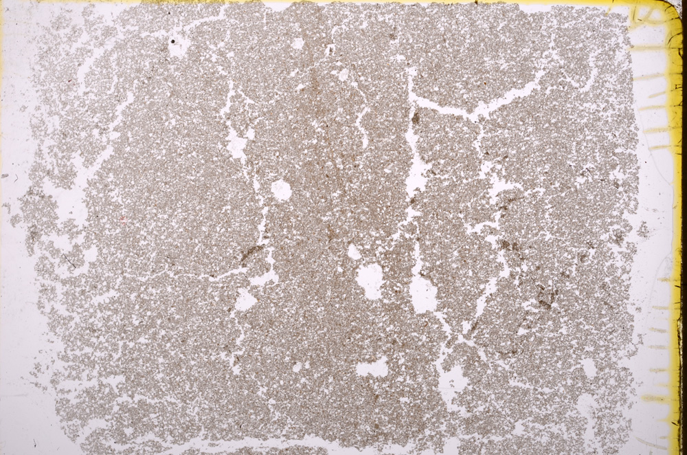 Plane Polarized, E18313