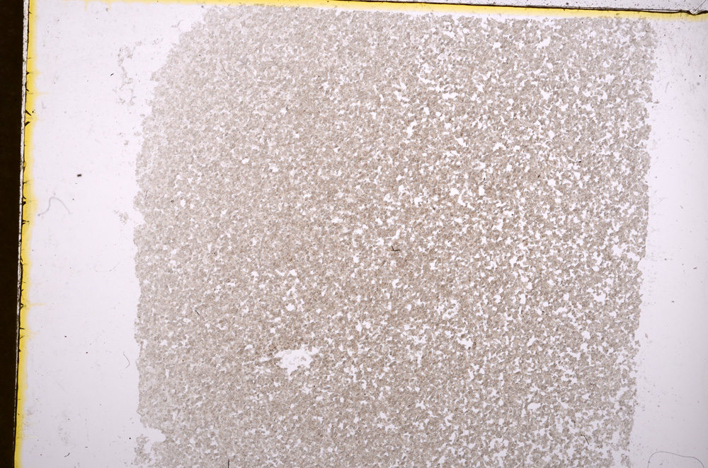 Plane Polarized, E18314