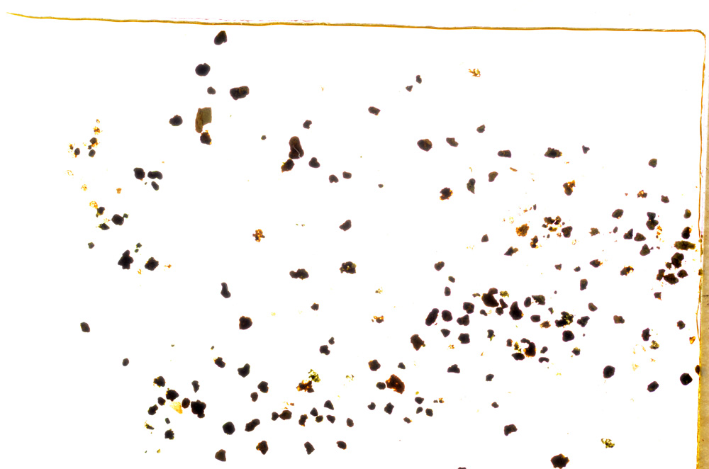 Plane Polarized, E18326