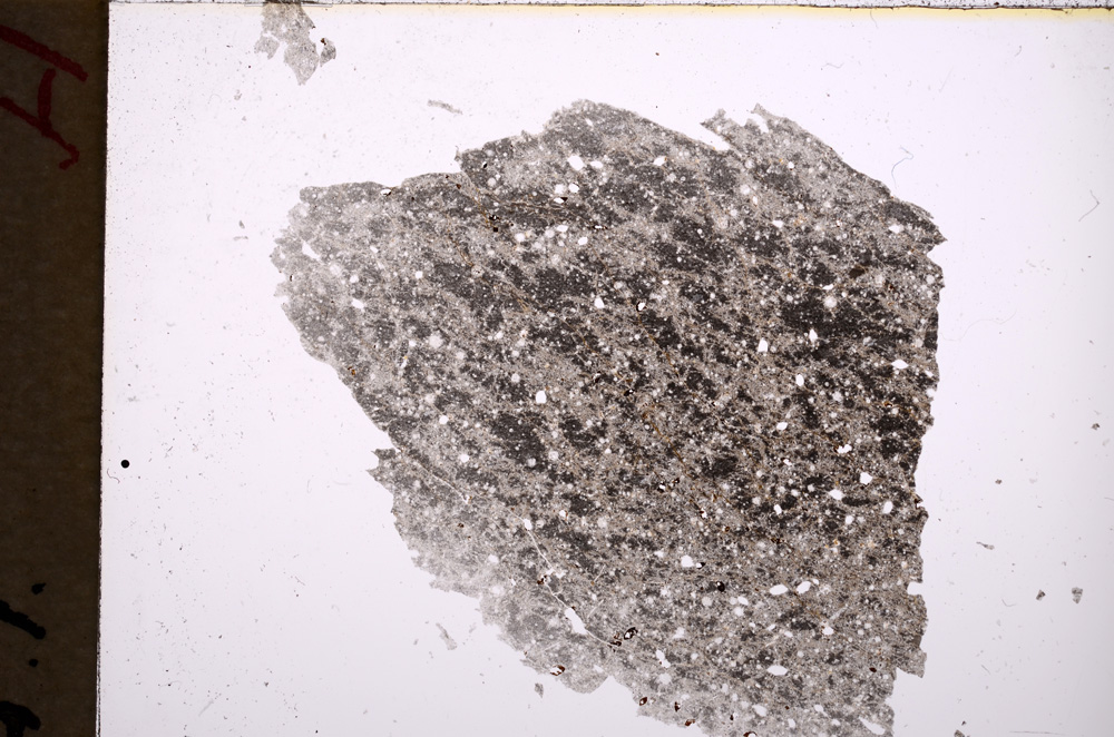 Plane Polarized, E18334