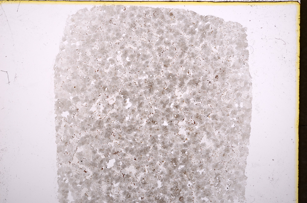 Plane Polarized, E18344