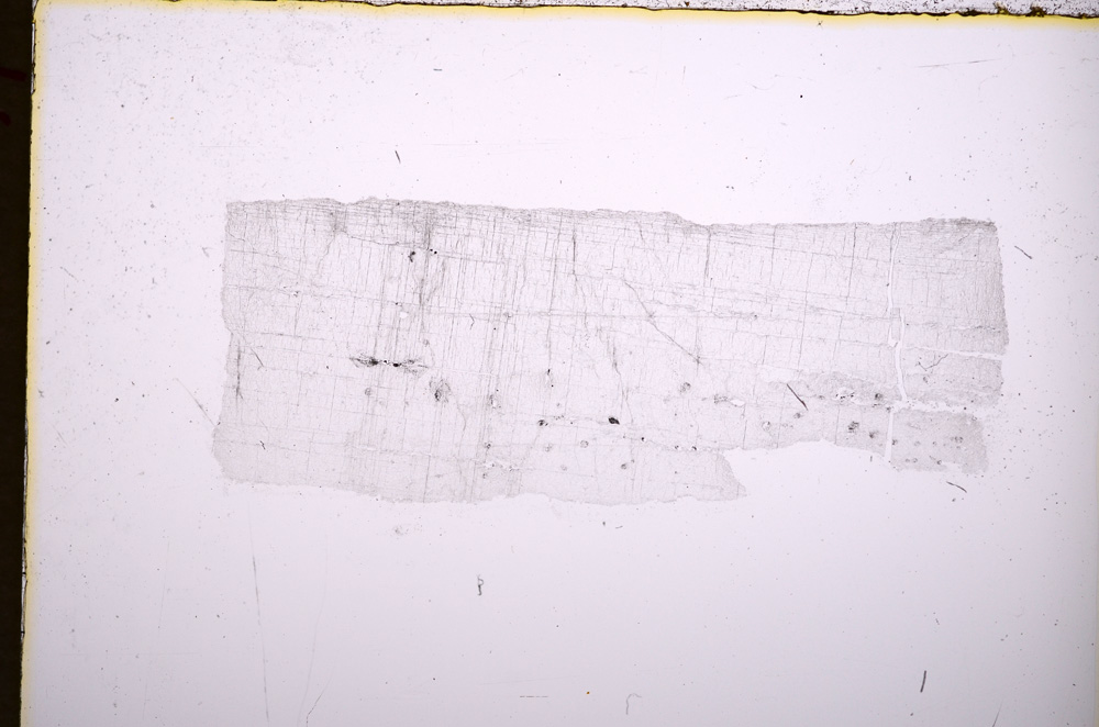 Plane Polarized, E18382