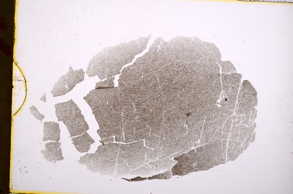 Plane Polarized, E18405