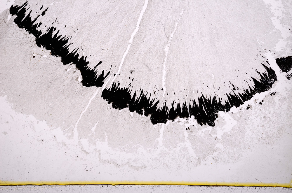 Plane Polarized, E18428