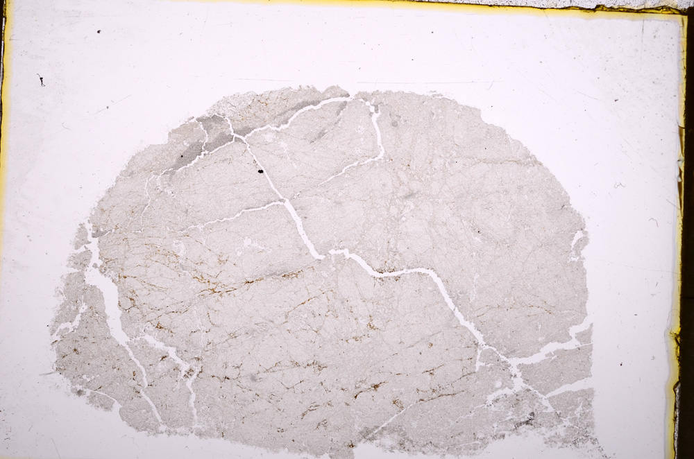 Plane Polarized, E18431/A