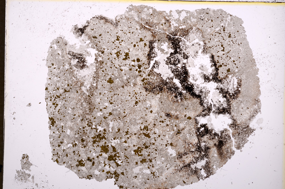 Plane Polarized, E18433/A