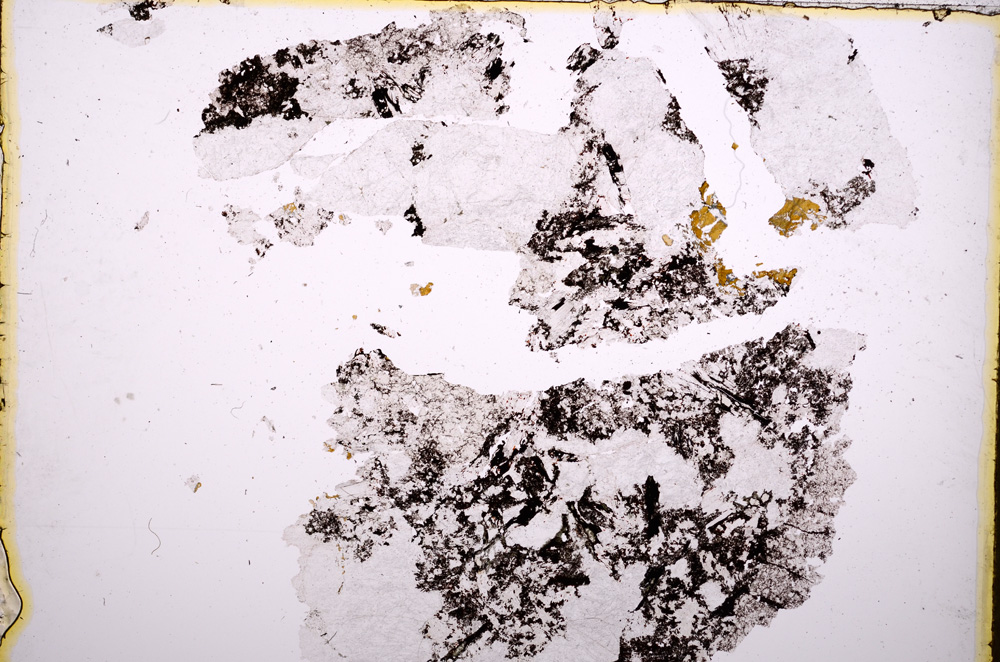 Plane Polarized, E18442