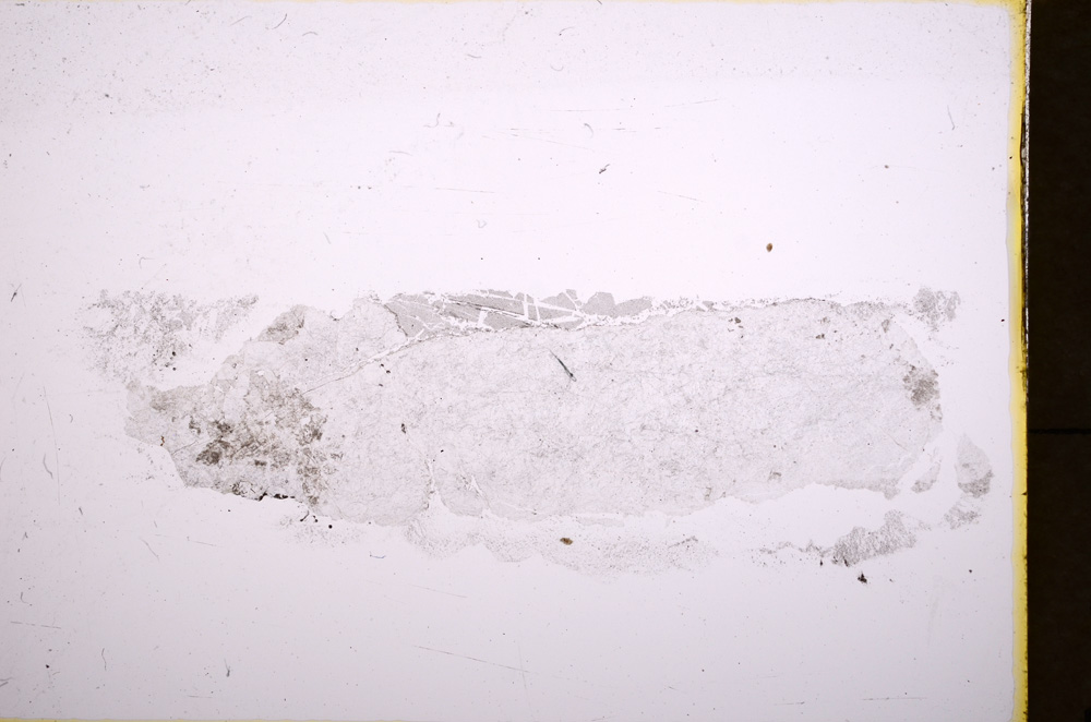 Plane Polarized, E18444