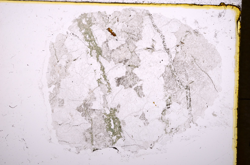 Plane Polarized, E18447