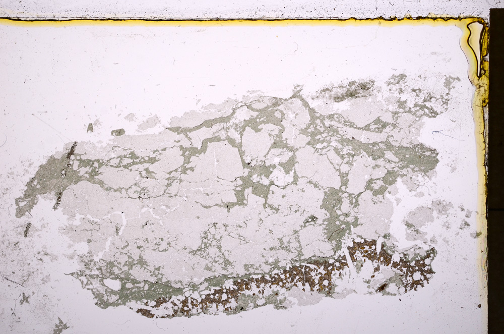 Plane Polarized, E18449