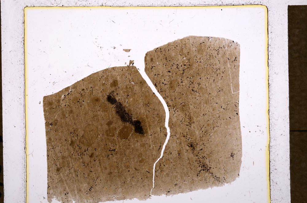 Plane Polarized, E18460