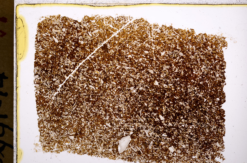 Plane Polarized, E18471
