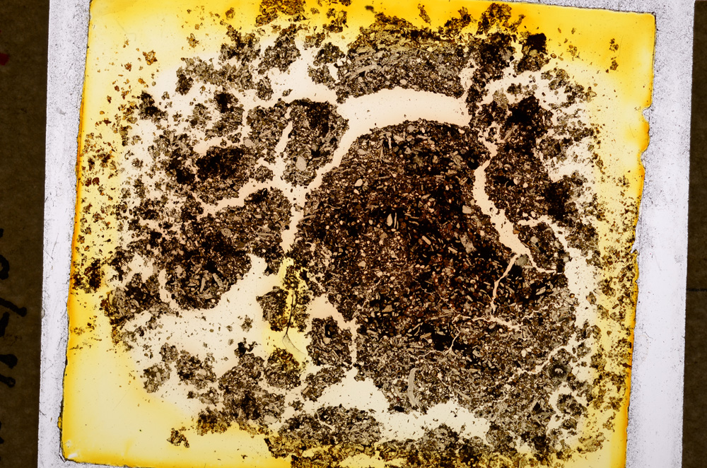 Plane Polarized, E18472/A