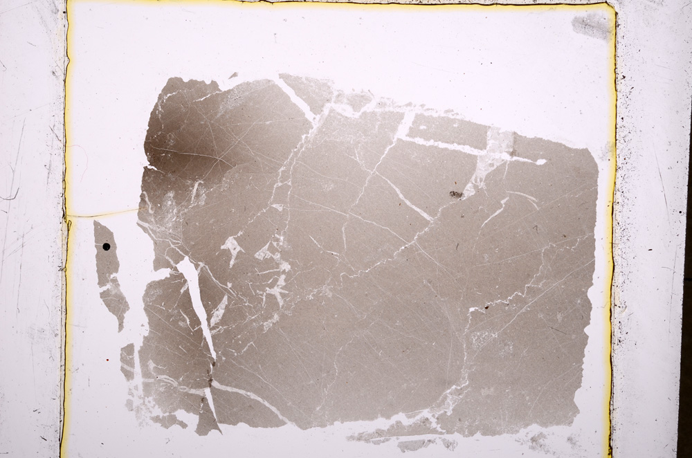 Plane Polarized, E18485