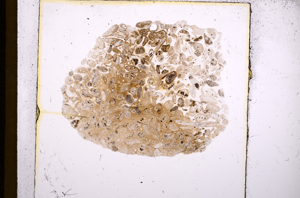 Plane Polarized, E18488