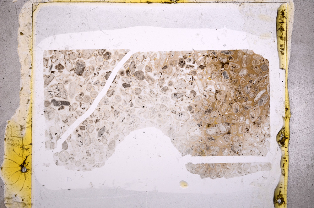 Plane Polarized, E18489