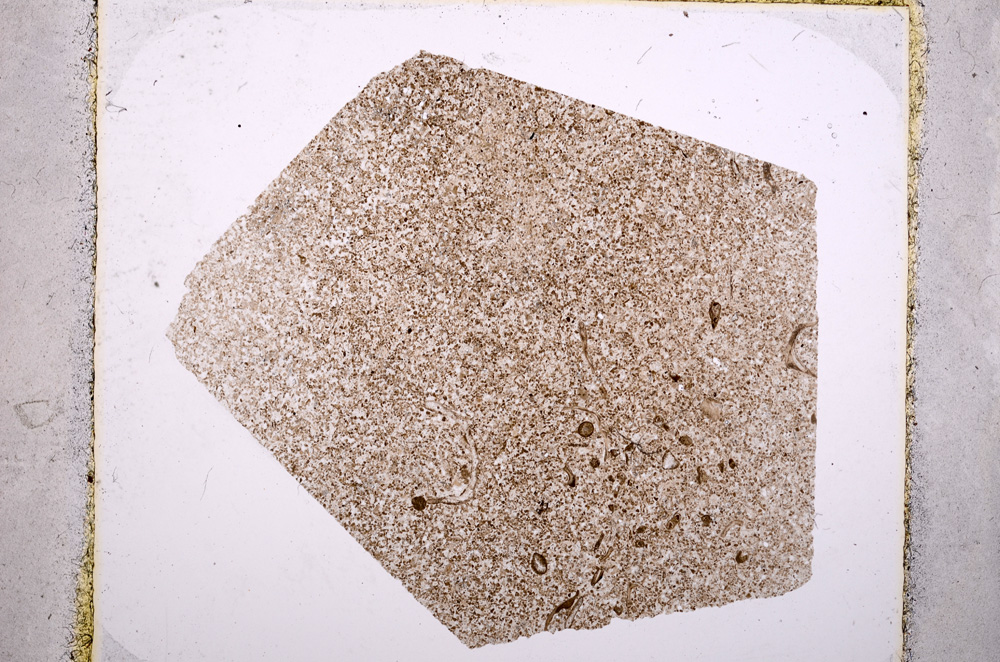 Plane Polarized, E18491