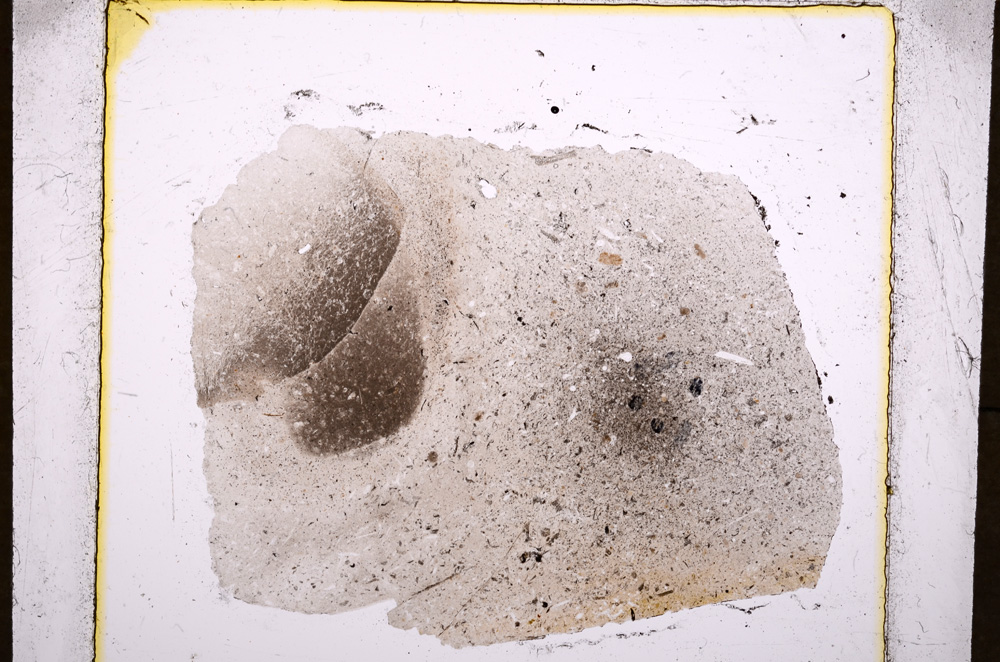 Plane Polarized, E18497