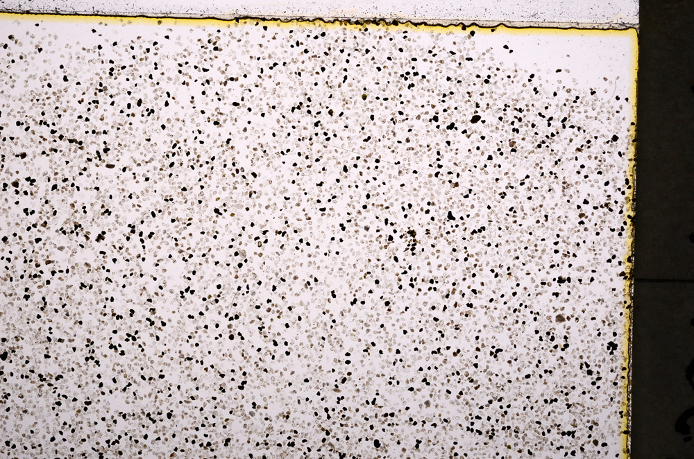 Plane Polarized, E18506
