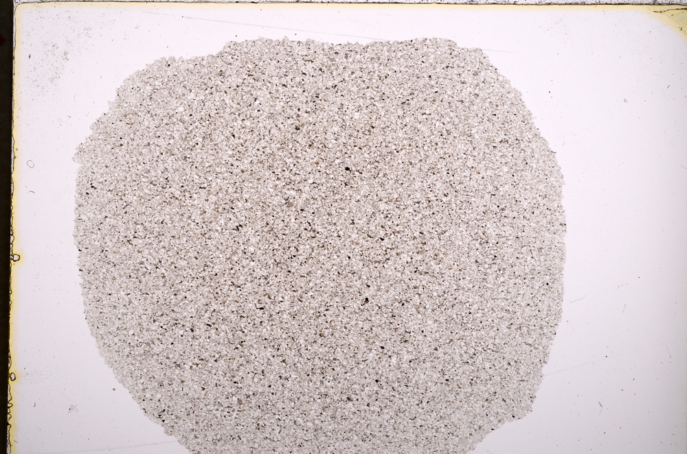 Plane Polarized, E18508