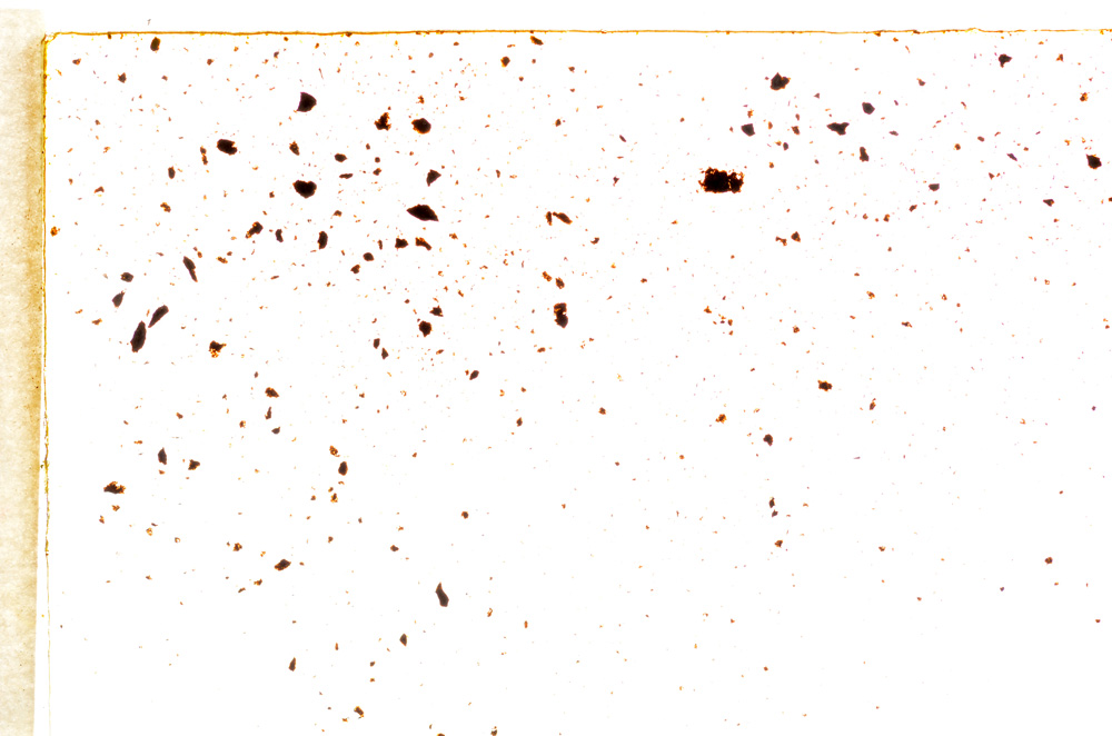 Plane Polarized, E18512/A