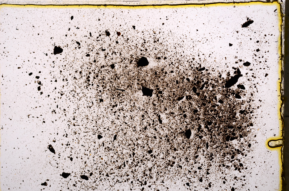 Plane Polarized, E18514/A